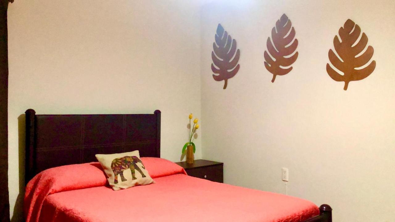 דירות מזטלן Departamento Zona Dorada מראה חיצוני תמונה